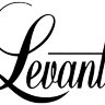LEVANTE  пакеты с логотипом 100 штук